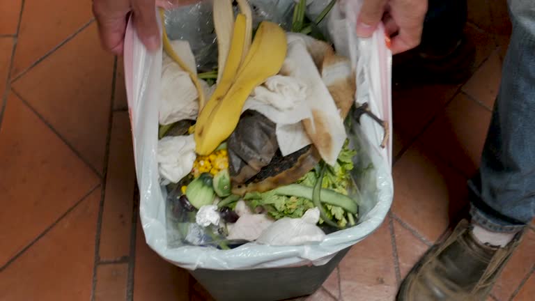 Best Hoarding Cleanup  in Worthington, MN